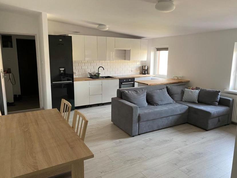 Apartament W Malowniczej Sosnowce Sosnówka 外观 照片