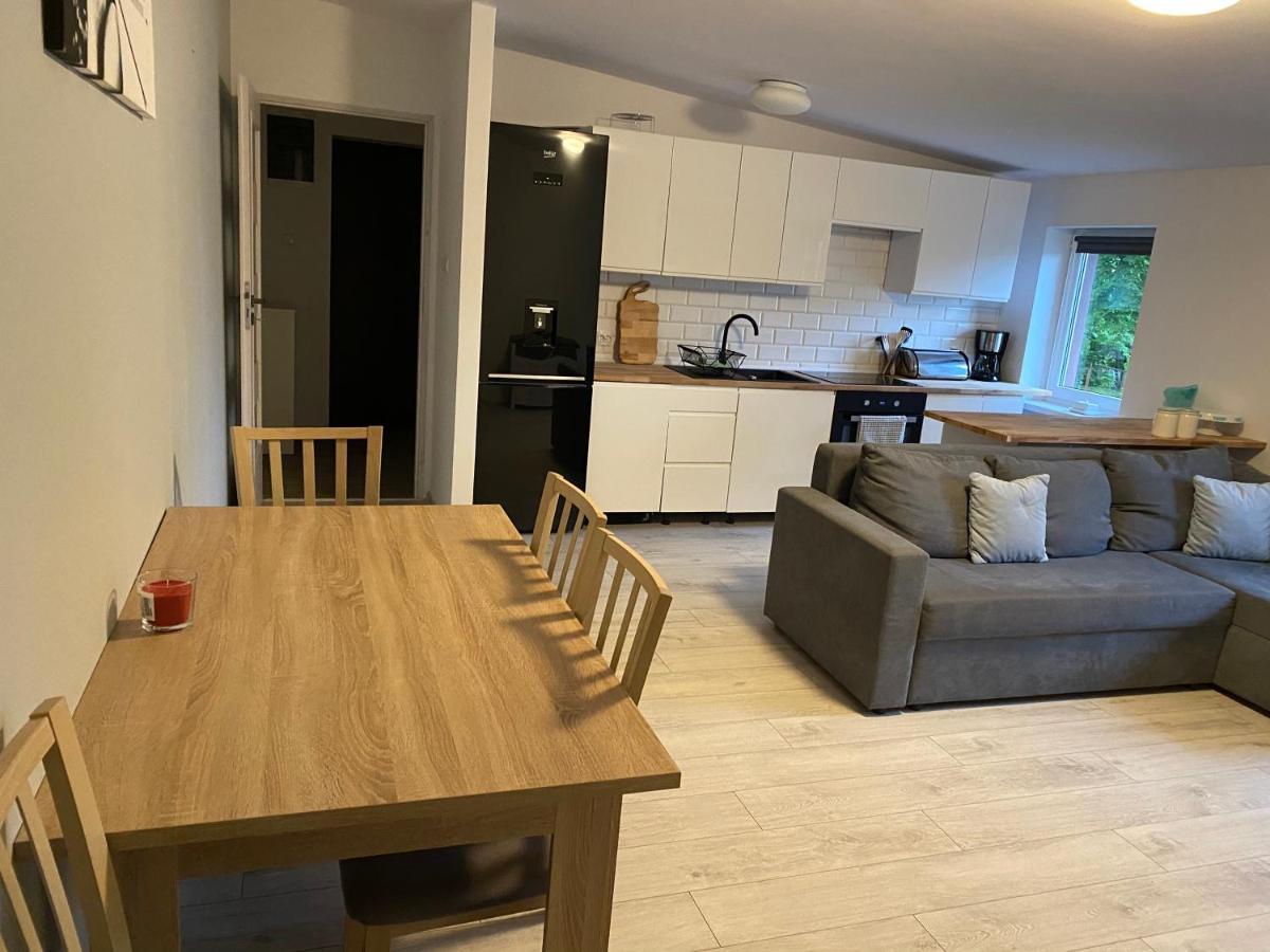 Apartament W Malowniczej Sosnowce Sosnówka 外观 照片