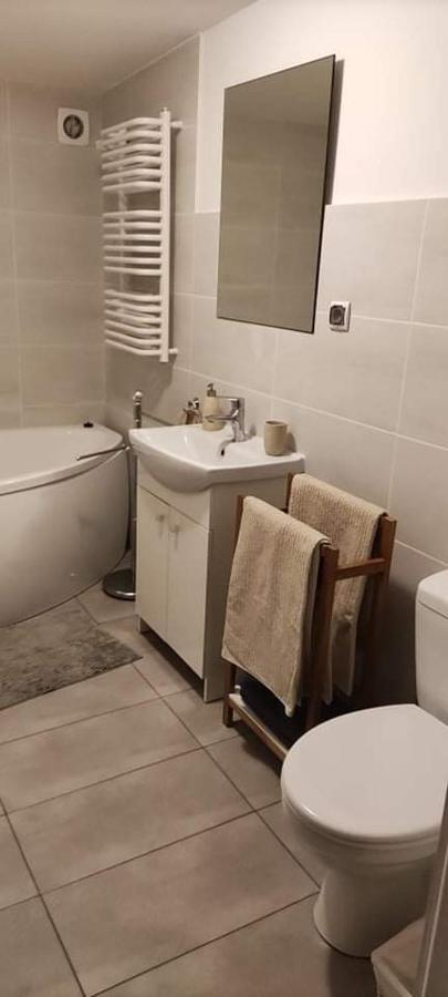 Apartament W Malowniczej Sosnowce Sosnówka 外观 照片